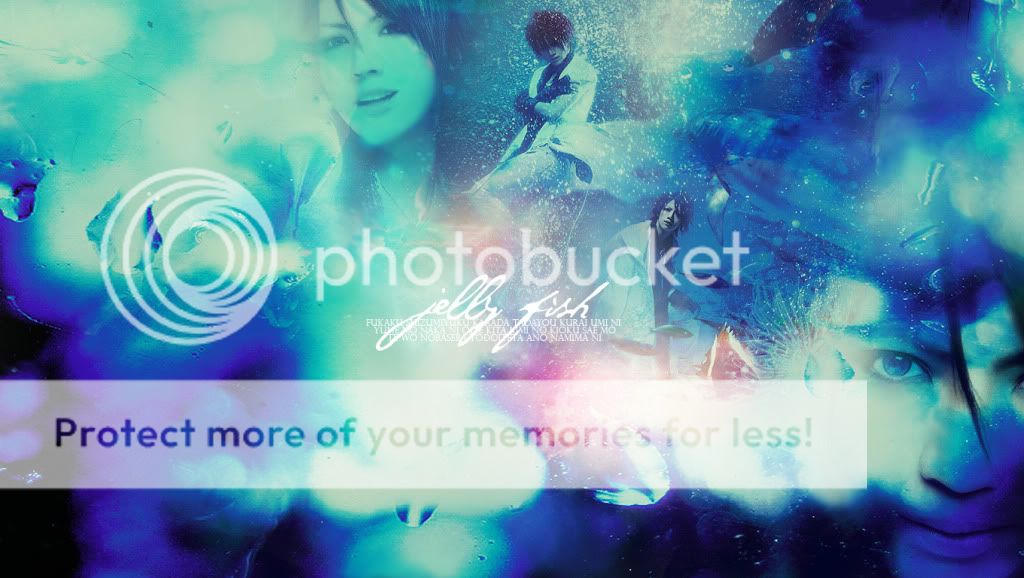 jellyfish wallpaper. Shou JellyFish Wallpaper