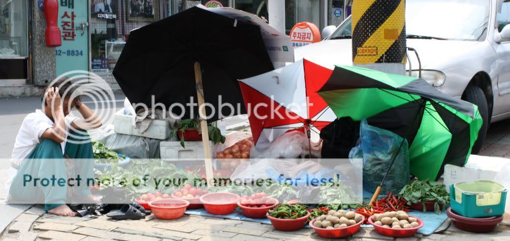 IMAGE: http://i661.photobucket.com/albums/uu334/spongeboabbrothelbank/Img_1279.jpg