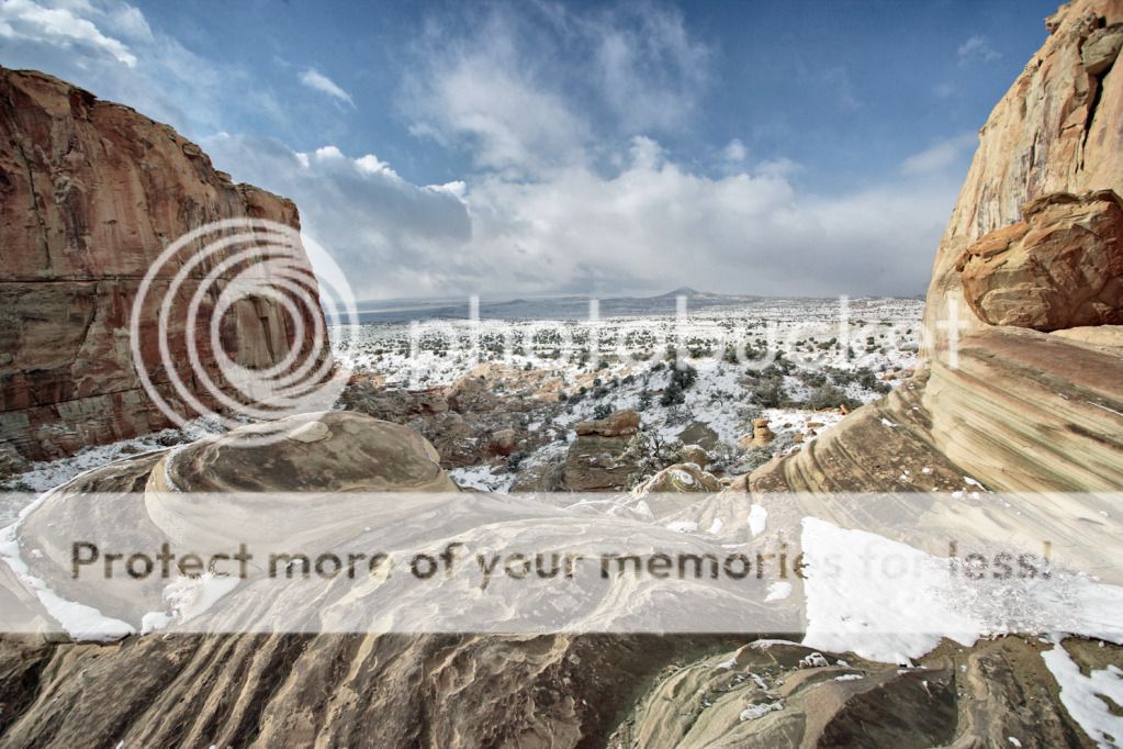 IMAGE: http://i661.photobucket.com/albums/uu337/redfishblufish/Hoodoo/VP5X0046.jpg