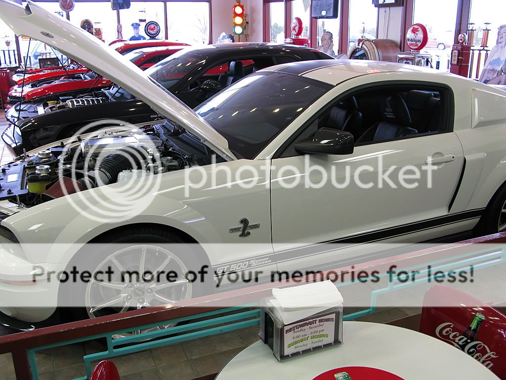 IMAGE: http://i661.photobucket.com/albums/uu337/redfishblufish/Pix/HP.jpg