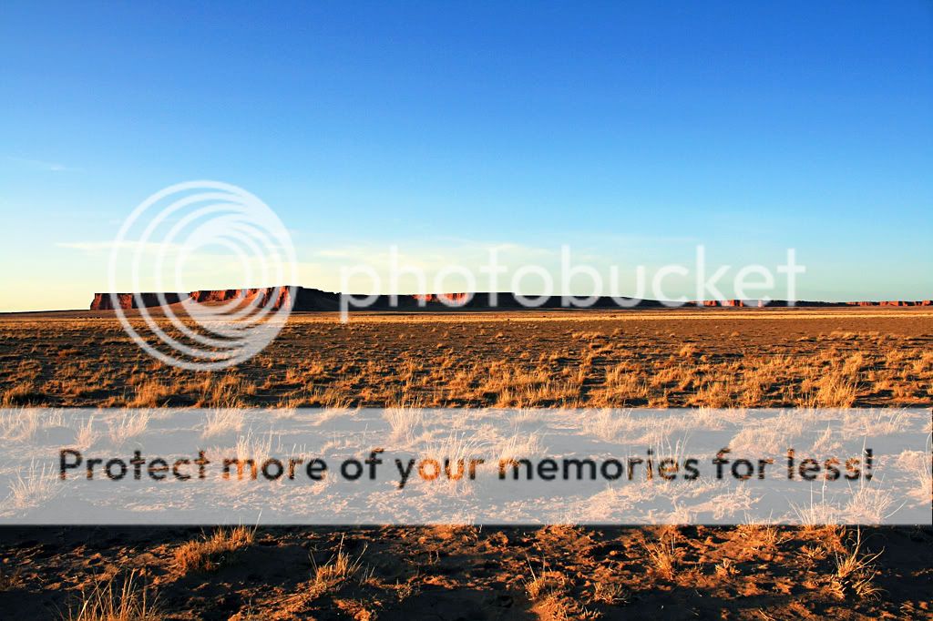 IMAGE: http://i661.photobucket.com/albums/uu337/redfishblufish/Pix/IMG_9732.jpg