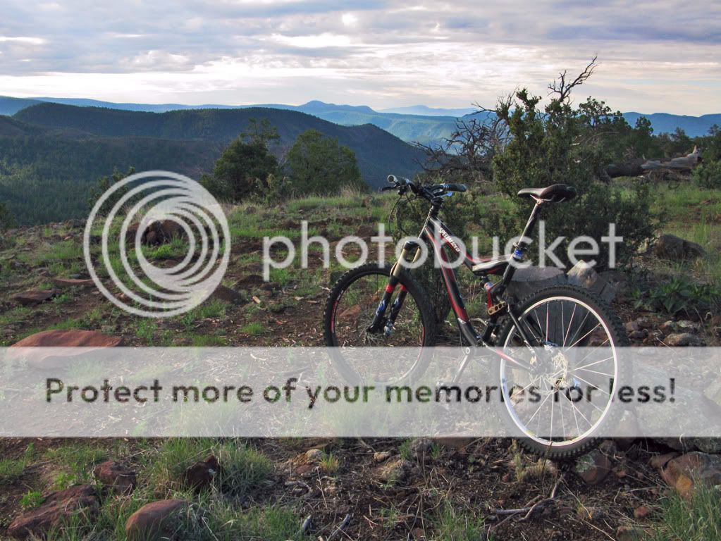 IMAGE: http://i661.photobucket.com/albums/uu337/redfishblufish/Specialized%20Stumpjumper/2k7fsr.jpg