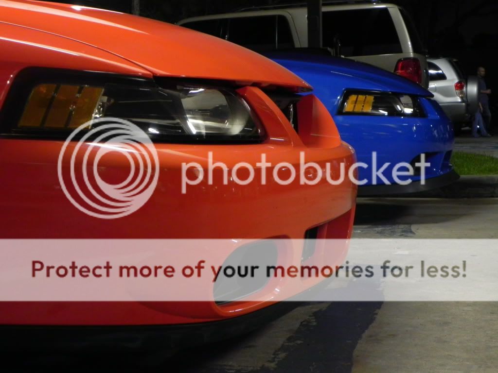 [Image: DSCN3072.jpg]