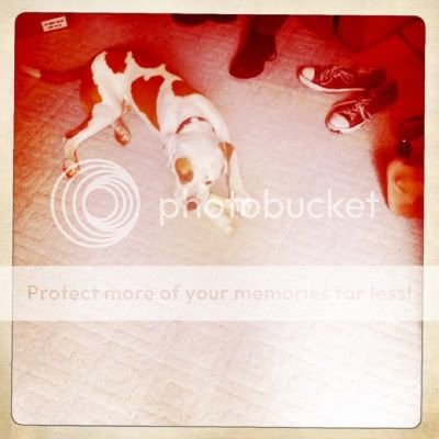 Photobucket