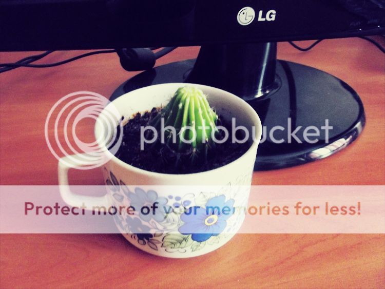 Photobucket