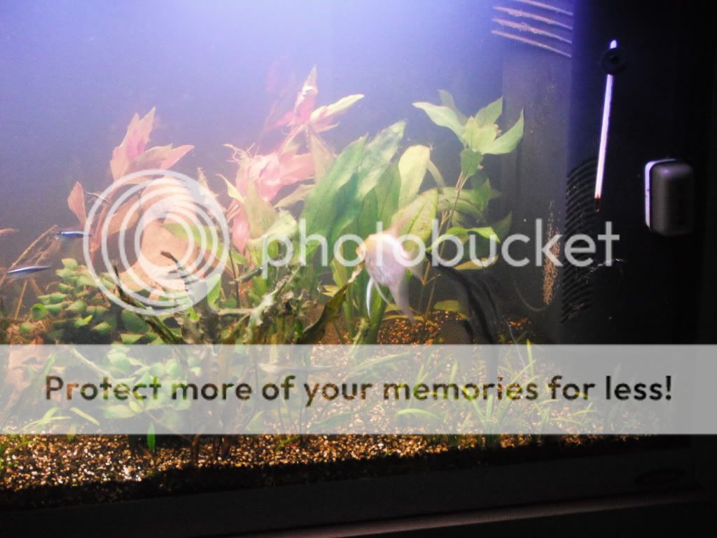 http://i661.photobucket.com/albums/uu339/yowsaman/DSCF1613.jpg