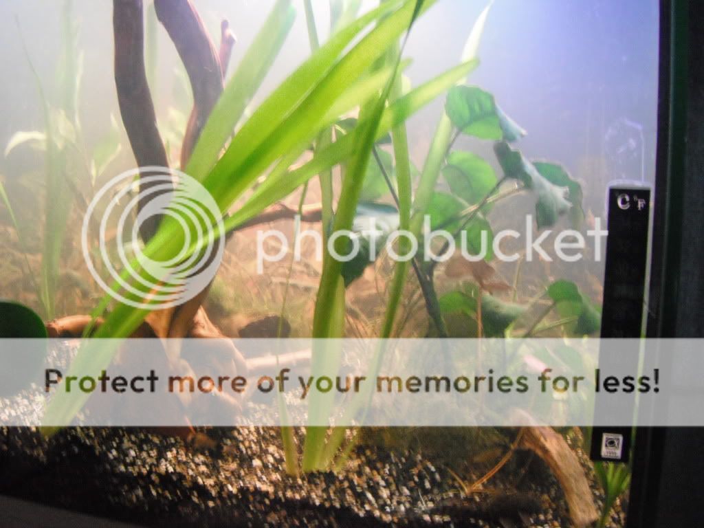 http://i661.photobucket.com/albums/uu339/yowsaman/DSCF1622.jpg