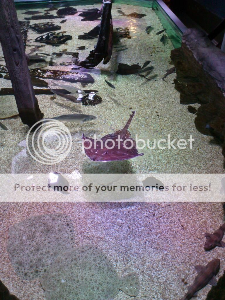 http://i661.photobucket.com/albums/uu339/yowsaman/DSC_1013.jpg
