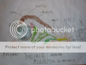  photo 45b3d8bc-3e0a-4fcc-b414-cdb3754d2f14_zpstkvomr4v.jpg