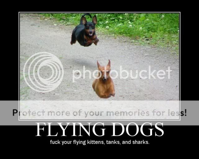 flyingdogs.jpg