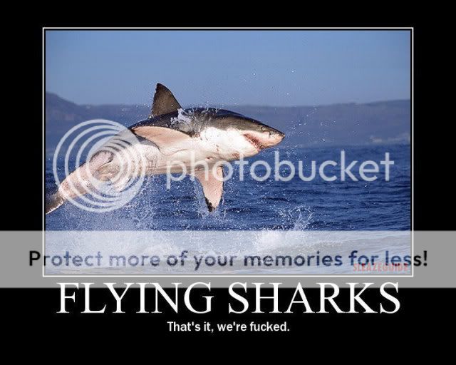 flyingsharks.jpg