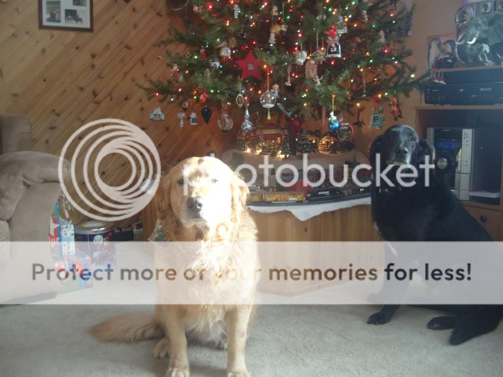 006-13.jpg picture by fermisb