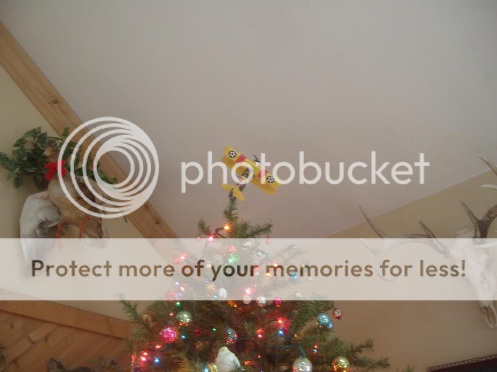 007-12.jpg picture by fermisb