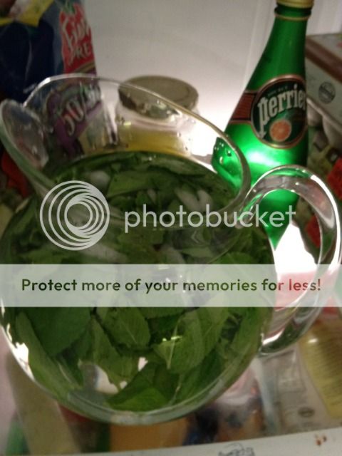 Uploaded from the Photobucket iPhone App