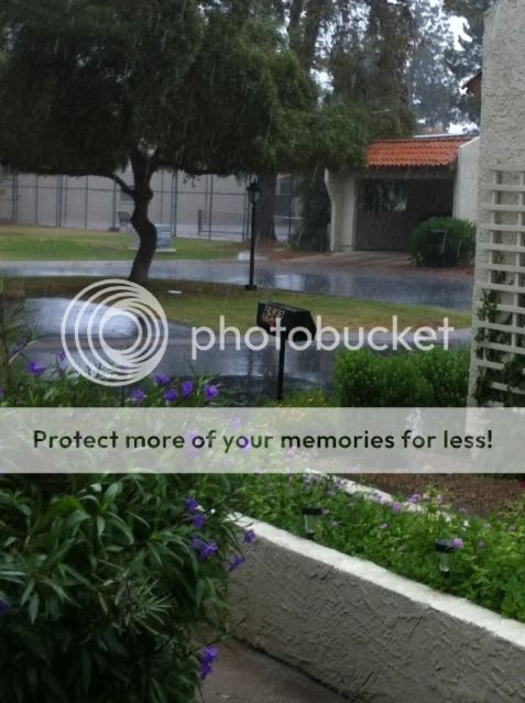 Uploaded from the Photobucket iPhone App